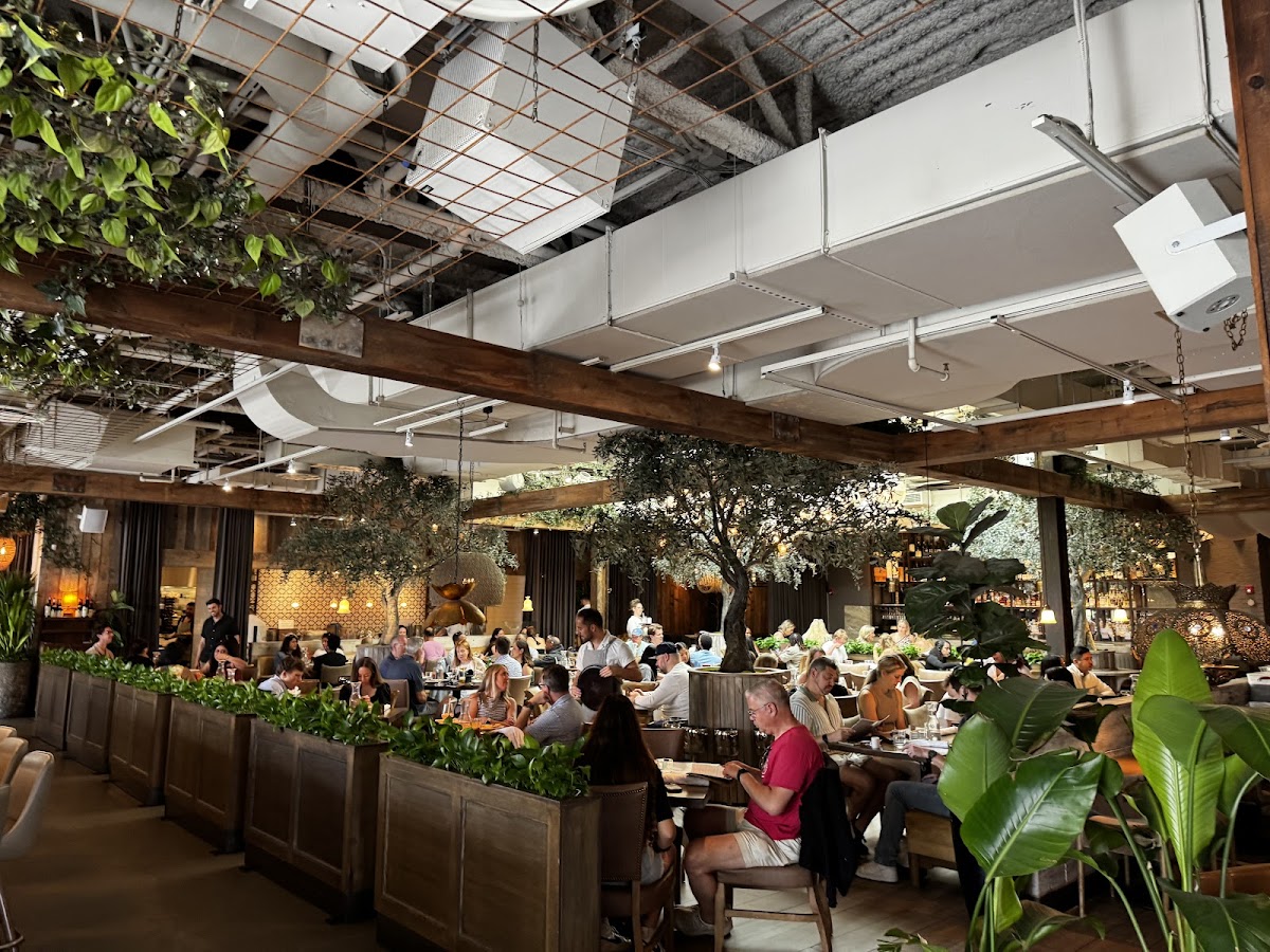 Aba — Restaurant
