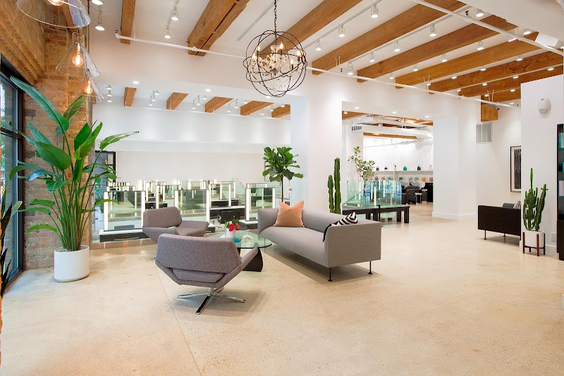 Arsova Salon
