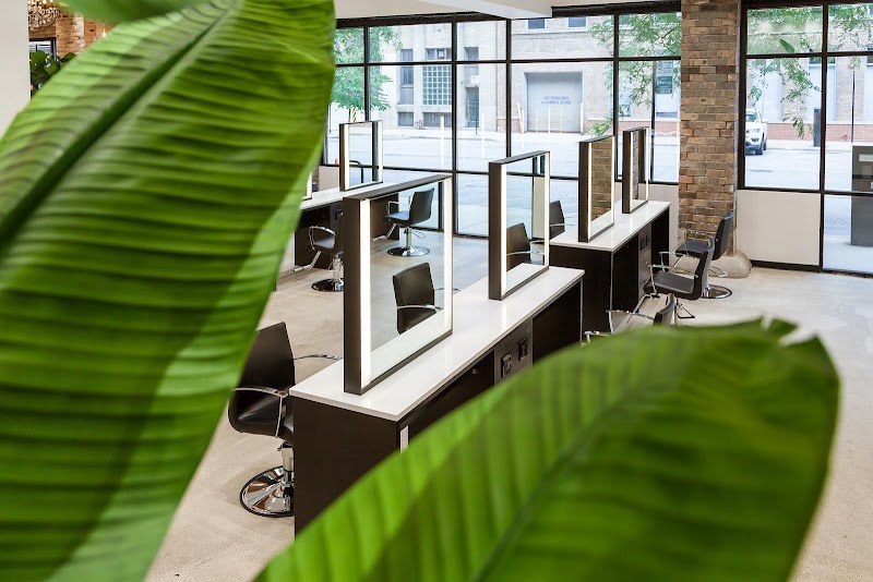 Arsova Salon