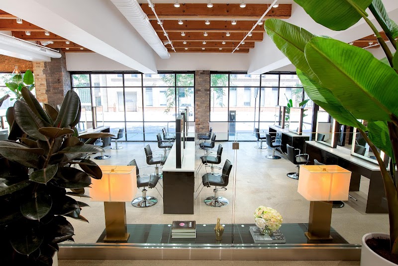 Arsova Salon